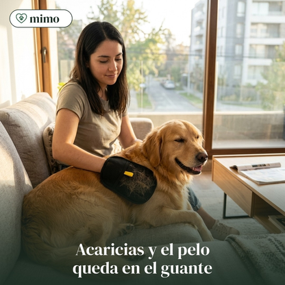 Mujer acariciando a su perro con el guante Mimo y el pelo queda en el guante
